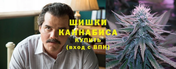 метадон Зеленодольск