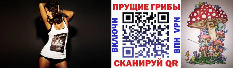 Галлюциногенные грибы Psilocybe  Среднеуральск 